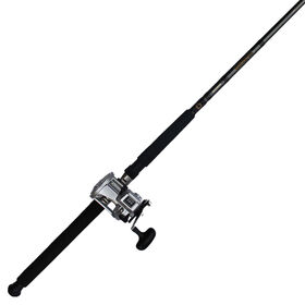 Daiwa AccuDepth Trolling Combo