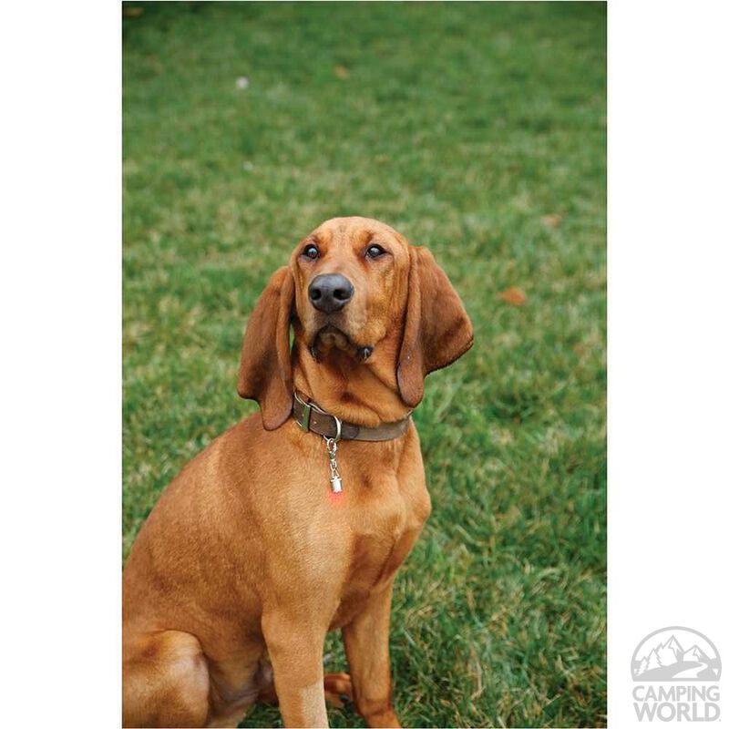 Pet Safety Light image number 2