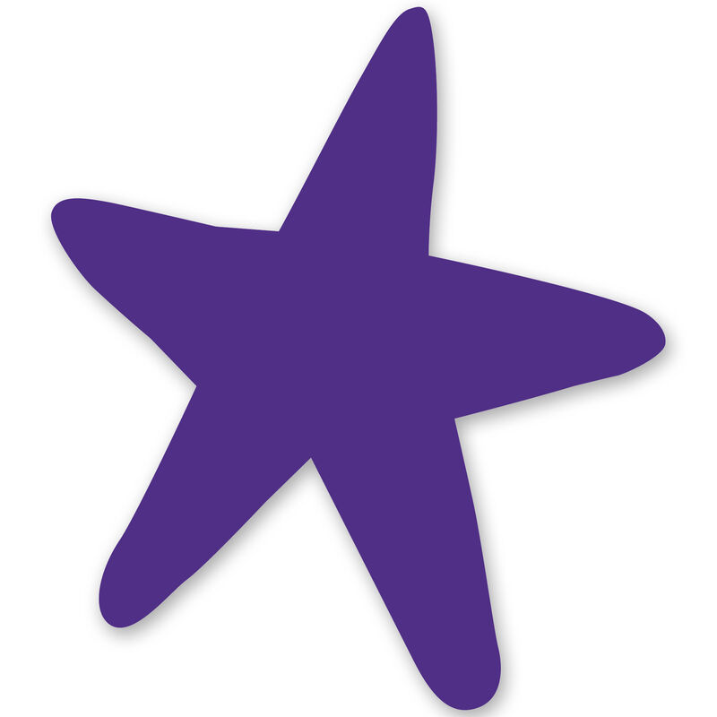 Starfish Vinyl Decal image number 15