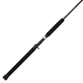 Shakespeare Ugly Stik Bigwater Casting Rod
