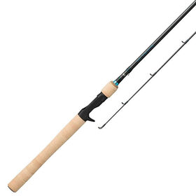 Daiwa Procyon Casting Rod