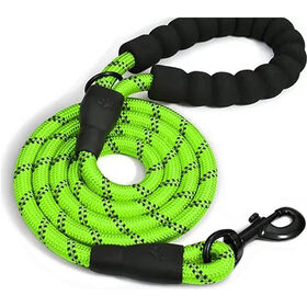 Doggy Tales 5-FT Braided Dog Leash - Green