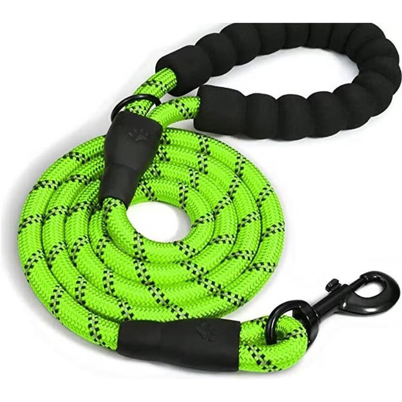 Doggy Tales 5-FT Braided Dog Leash - Green