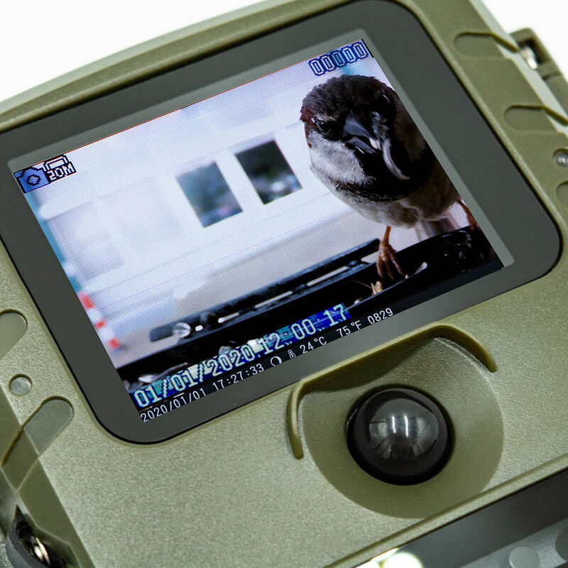 Technaxx TX-165 Wireless Outdoor Birdcam Camera with Food Dispenser image number 3