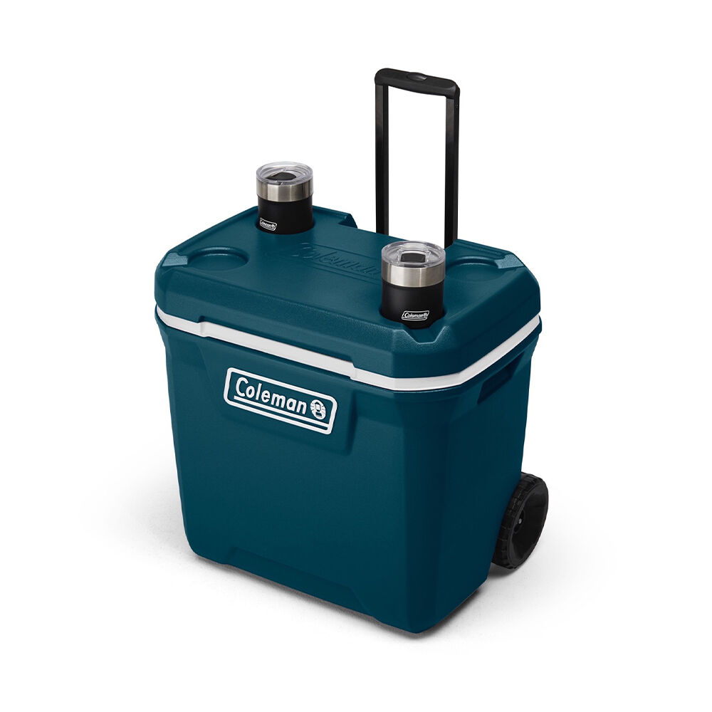 coleman 316 series cooler 120 qt