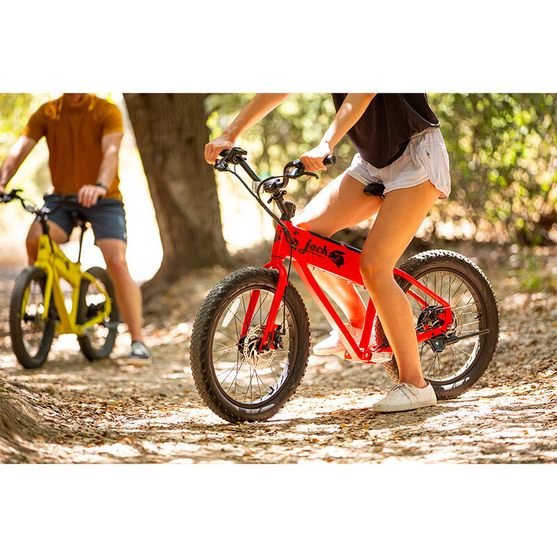 JackRabbit XG, The XL Micro eBike image number 13