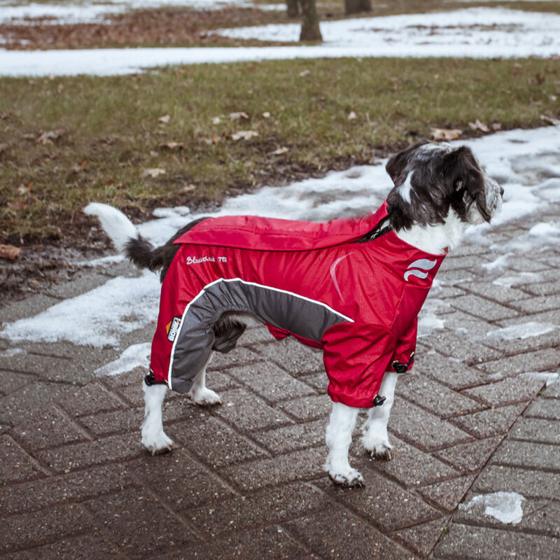 Helios Blizzard Full-Bodied Adjustable and 3M Reflective Dog Jacket, Cola Red, Small image number 3