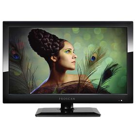 ProScan 19" HD LED TV