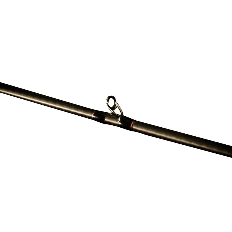 Favorite Fishing Big Sexy Casting Rod image number 3