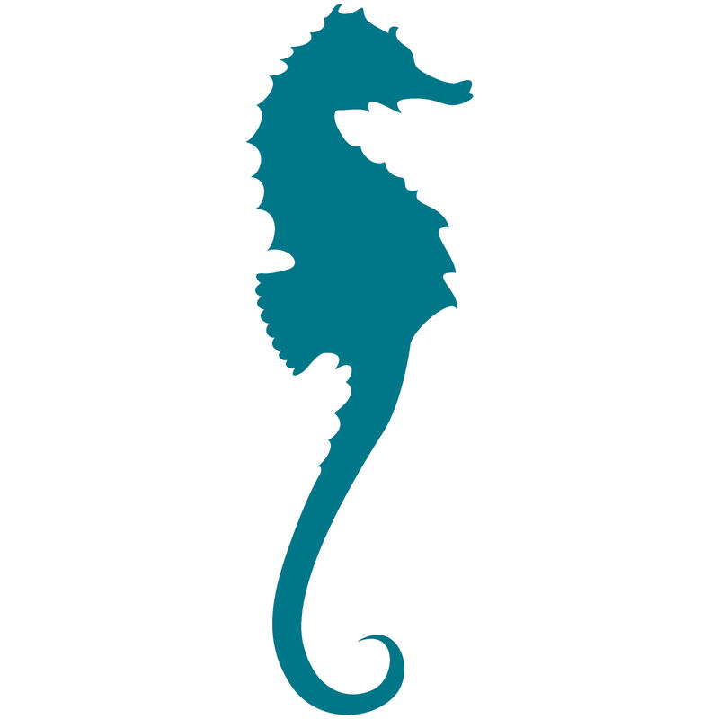 Sea Horse Vinyl Decal image number 18