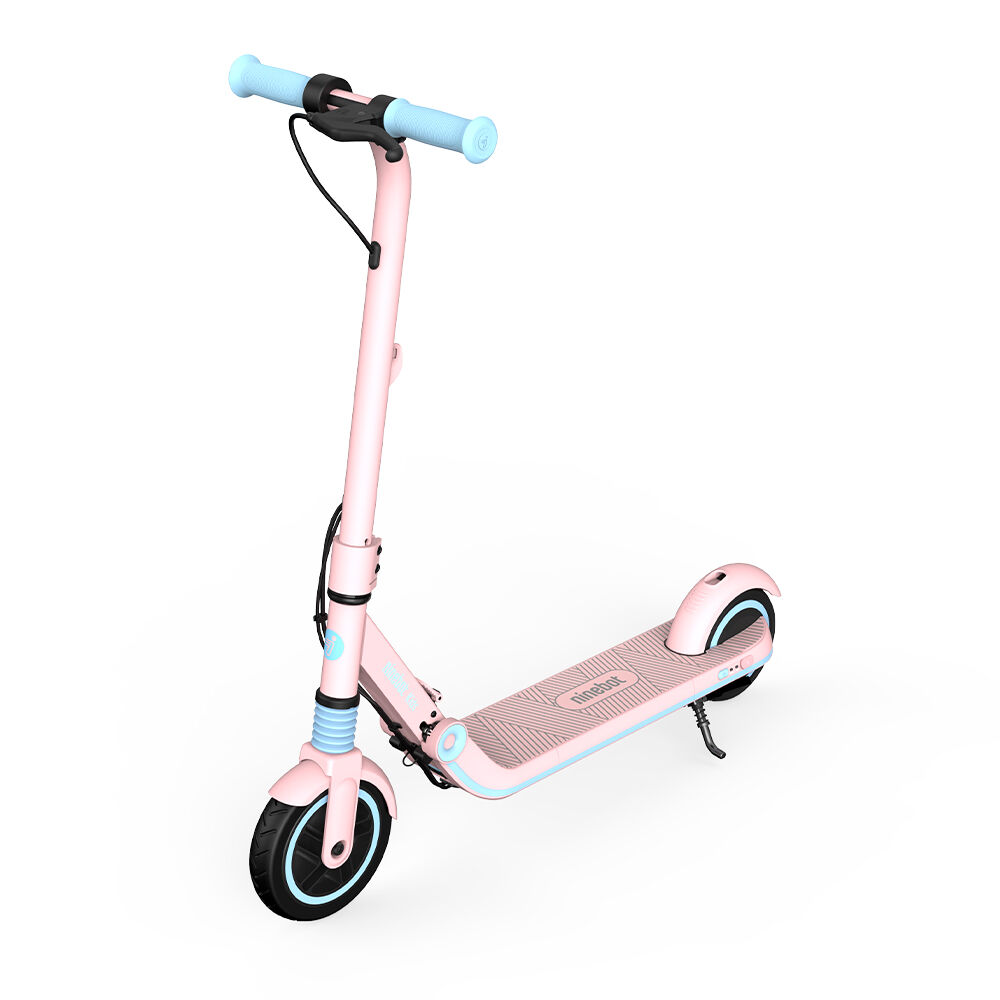 Segway Ninebot eKickScooter ZING E8, Pink