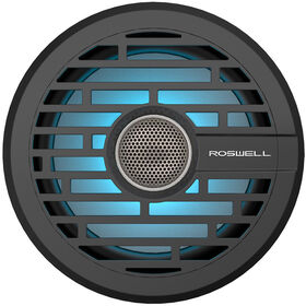 Roswell R1 6.5" In-Boat Speaker - Black