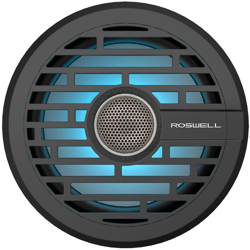 Roswell R1 6.5" In-Boat Speaker image number 1