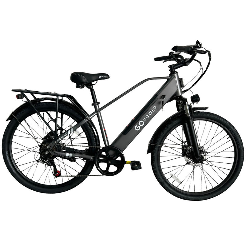 GoPowerBike 26''  GoCargo, 750W, Electric Bike