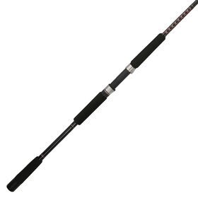 Shakespeare Ugly Stik Bigwater Surf Spinning Rod