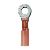 Ancor Heat Shrink Ring Terminals, 12-10 AWG, #10 Screw, 3-Pk.