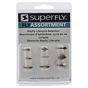 Superfly Fly Fishing Mayfly Lifecycle Assortment