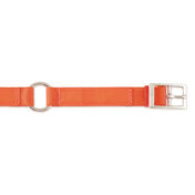 Scott Pet Hot Orange Field Collar, 1"W x 18"L