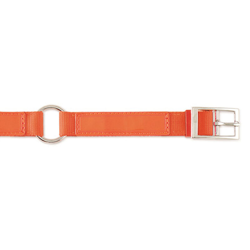 Scott Pet Hot Orange Field Collar, 1"W x 18"L image number 1