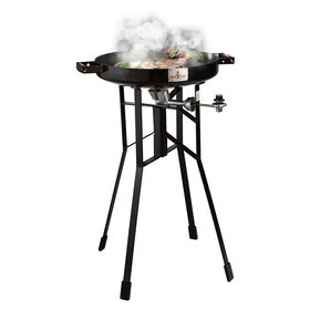 Original Series FIREDISC 380 Portable Propane Cooker&mdash;Jet Black