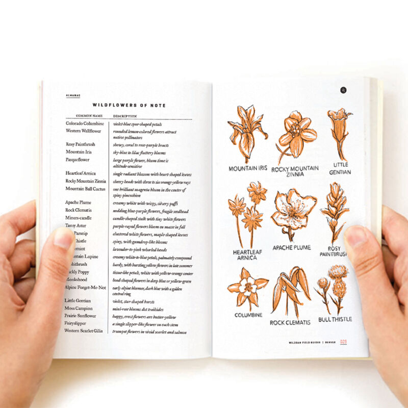 Wildsam Travel Guide - Denver image number 2