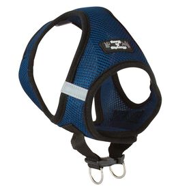 Large Blue Harness