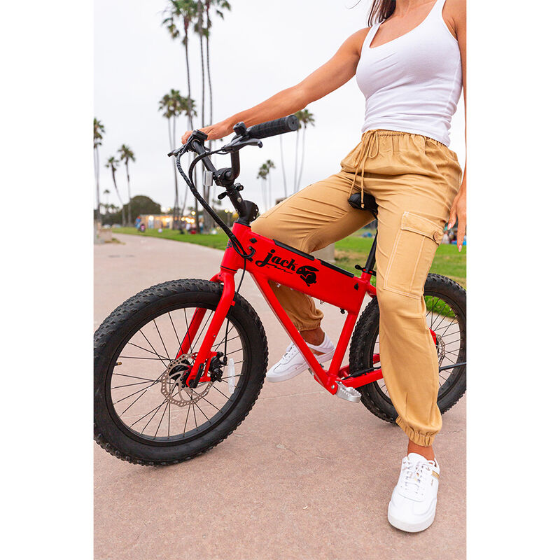 JackRabbit XG, The XL Micro eBike image number 33
