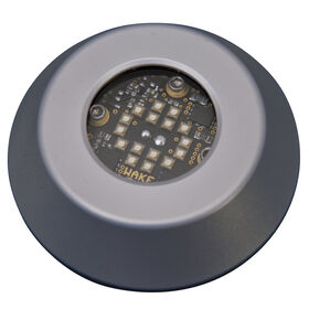 Roswell 3" Nightwater Pro Underwater Light