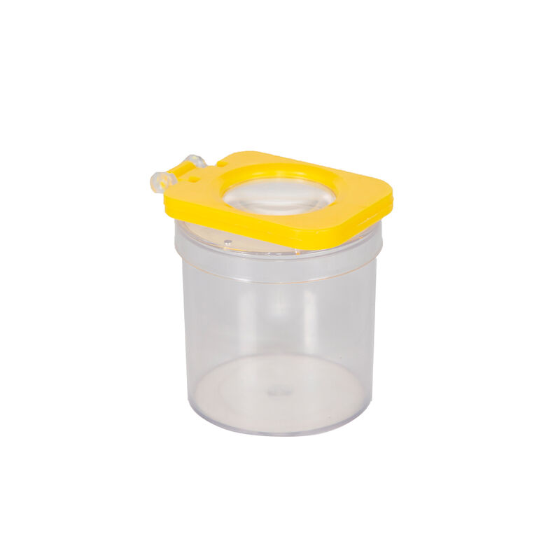 Stansport Kids Insect Catching Kit image number 5