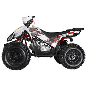 Coleman Powersports AT125Y ATV