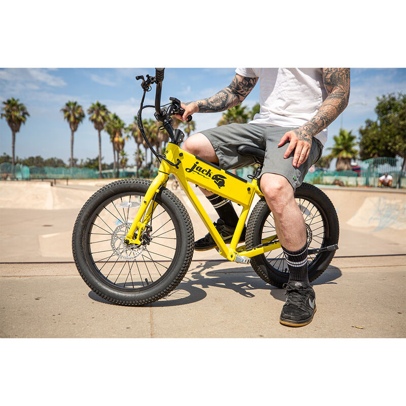 JackRabbit XG, The XL Micro eBike image number 24