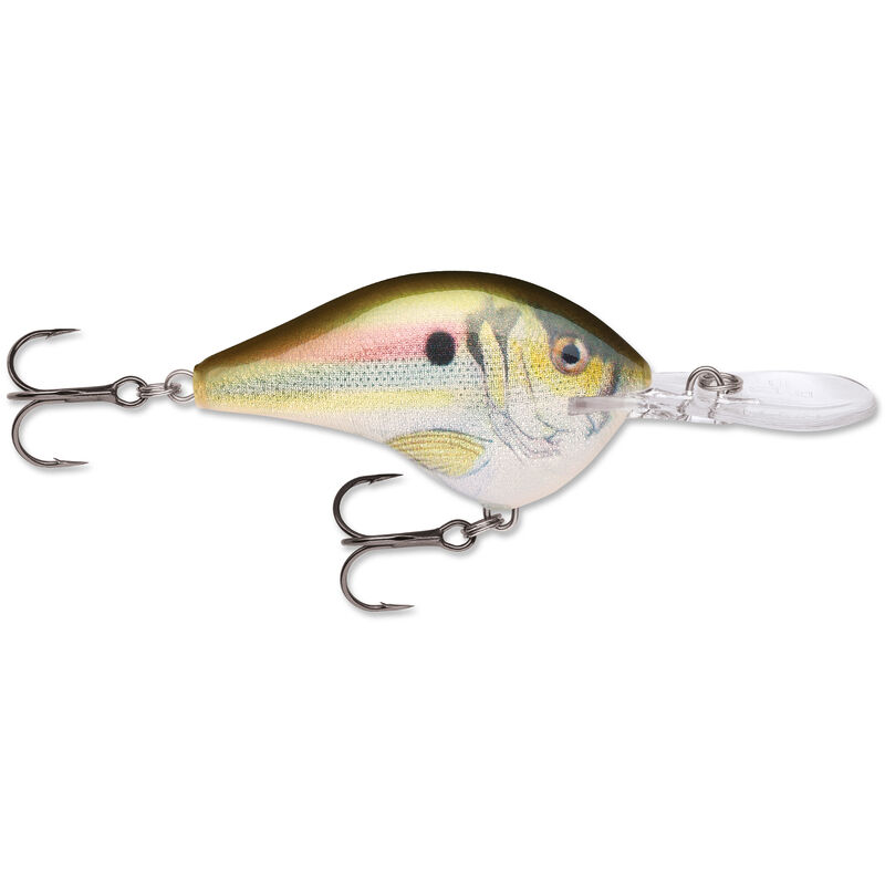 Rapala DT Series Crankbait image number 6