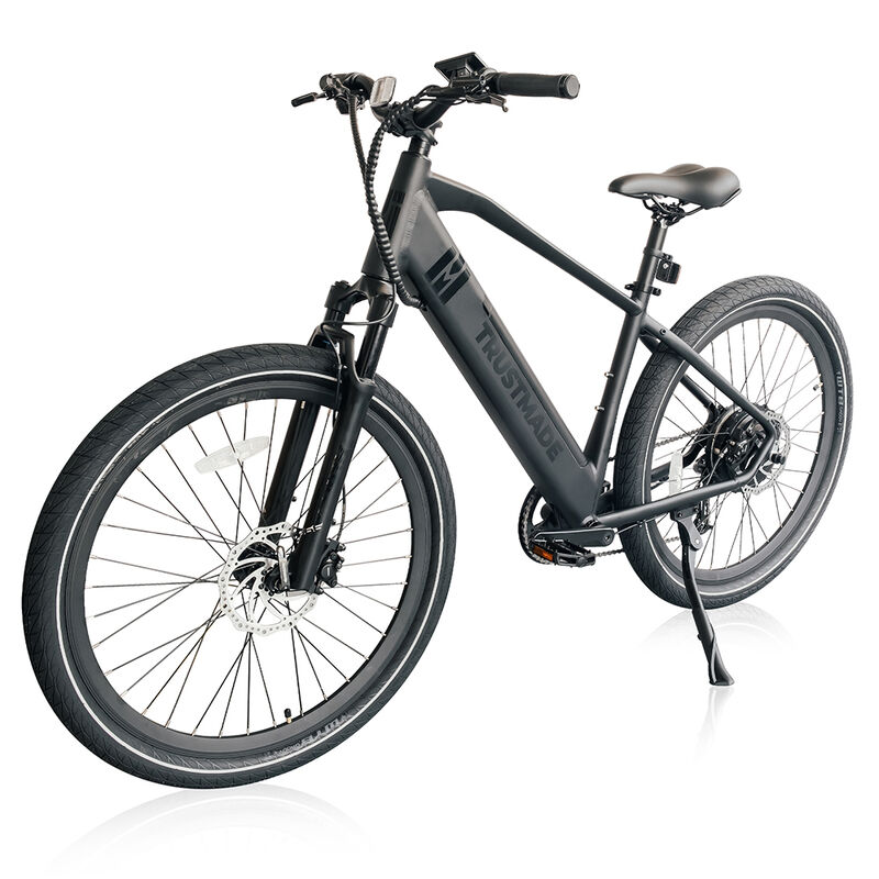 Trustmade Limited Series Electric Bicycle image number 2