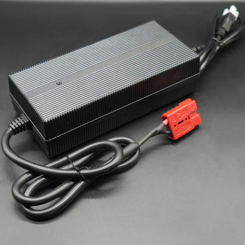 Lithium Battery Company 12V 20A Lithium Battery Charger image number 1