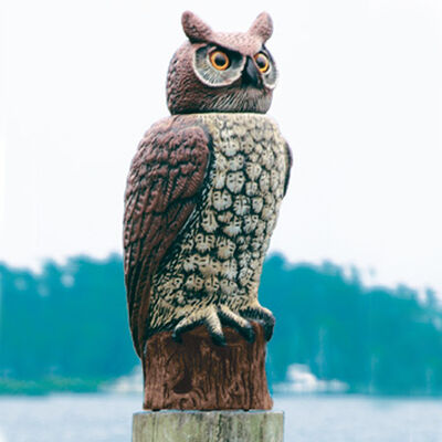 SOL-R Action Great Horned Owl