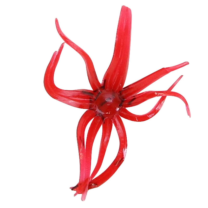 Clam Maki Neki image number 6