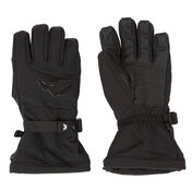 Gordini Men's Fall Line IV Glove