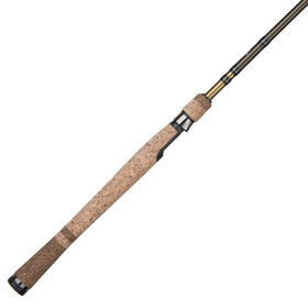 Fenwick Eagle Spinning Rod