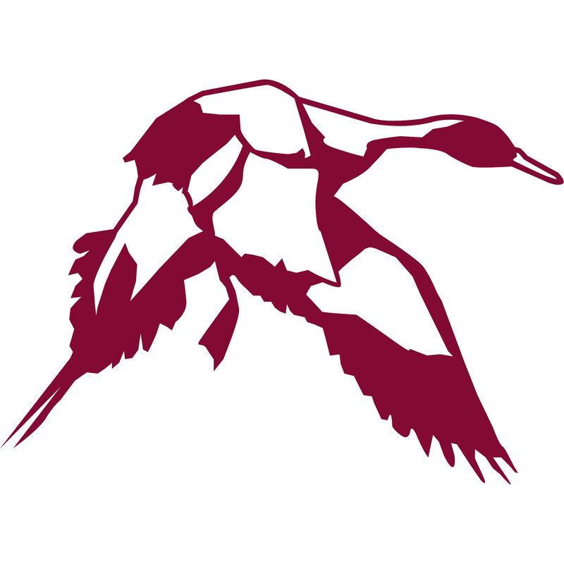 Pintail Vinyl Decal image number 14
