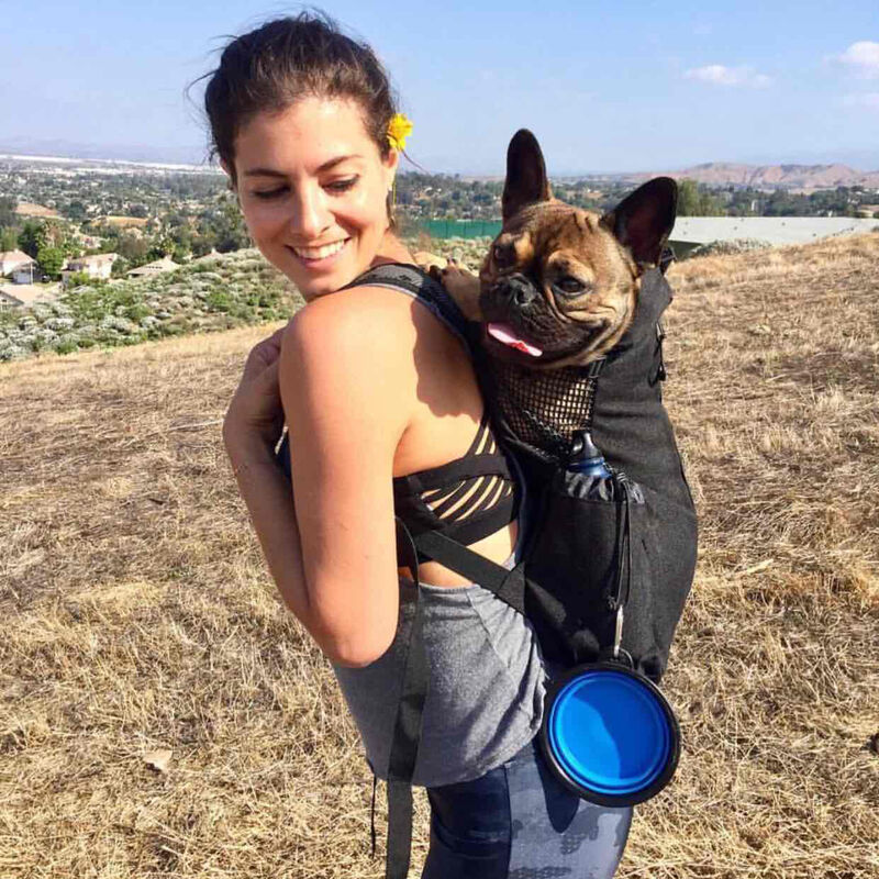 K9 Sport Sack AIR, Medium, Jet Black image number 4