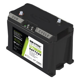 Dometic Go Power! Advanced 100Ah 12V Lithium Battery (GP-ADV-LIFEPO4-100)