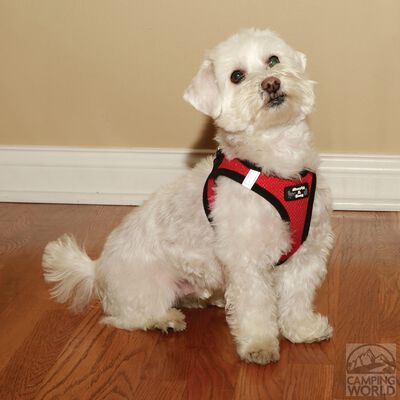 Large Red Harness