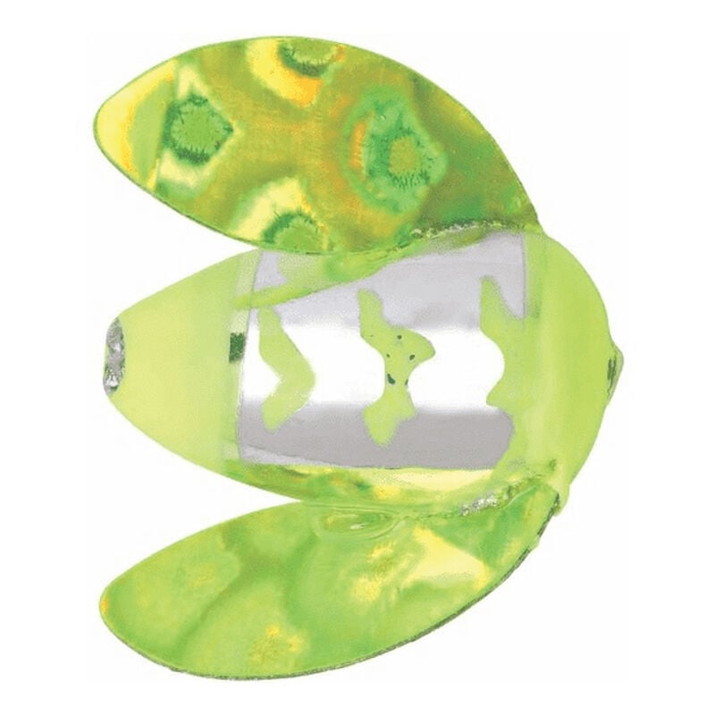 Worden's Spin-N-Glo image number 1