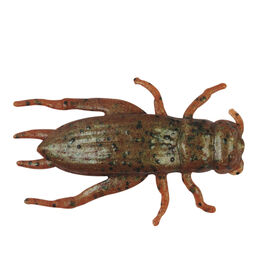 Berkley Gulp! Cricket