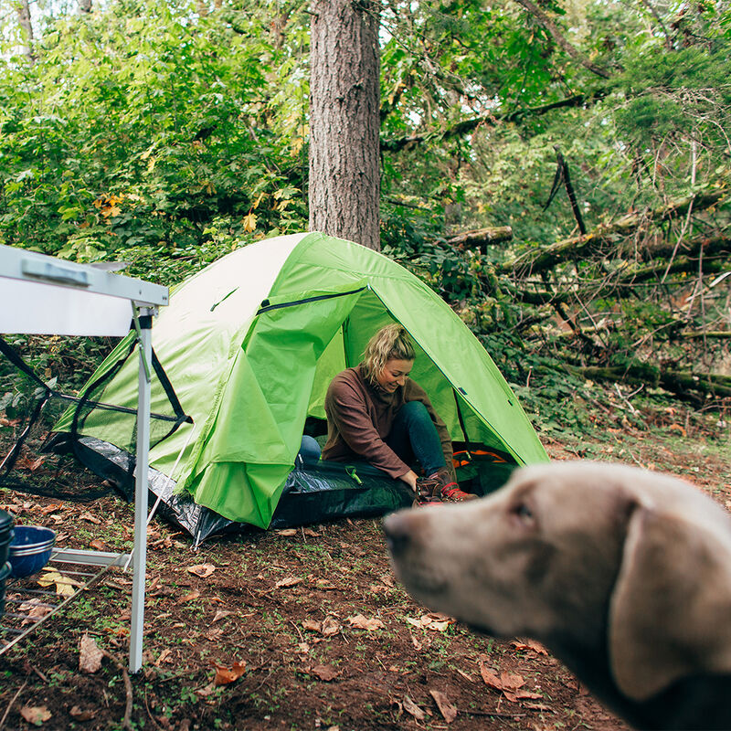 Stansport Starlite I Mesh Backpack Tent with Full Rain Fly image number 10