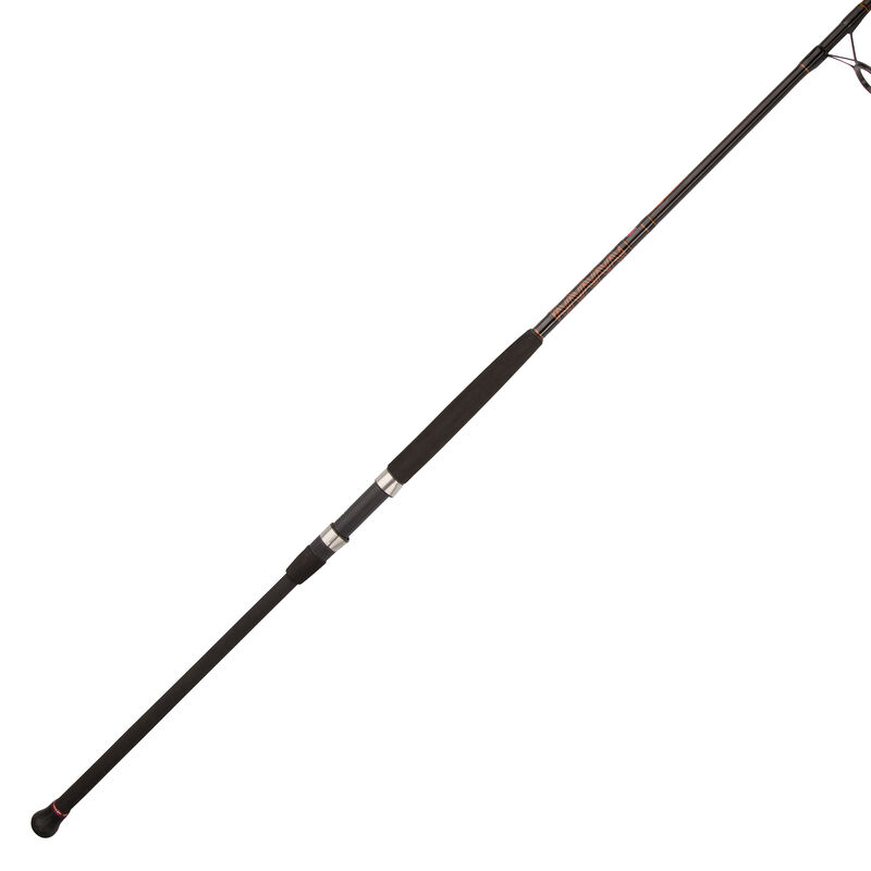 Penn Squadron II Surf Spinning Rod image number 3