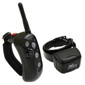 D.T. Systems R.A.P.T. 1400 Remote Dog Training System