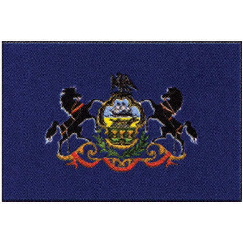 State Flag, 12" x 18" image number 2