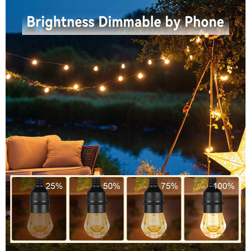 Topus International 48ft Smart String Light image number 7