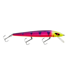 Smithwick Perfect 10 Rogue